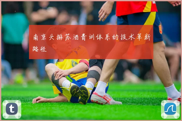 南京头排苏酒青训体系的技术革新路径