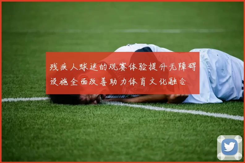 残疾人球迷的观赛体验提升无障碍设施全面改善助力体育文化融合